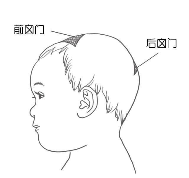 小儿推拿对安神定志,消食导滞具有好的效果,解决宝宝睡眠问题