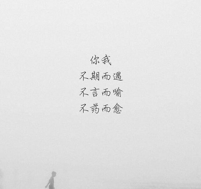 "几句微不足道的情话"|情话|文字|记忆_新浪新闻