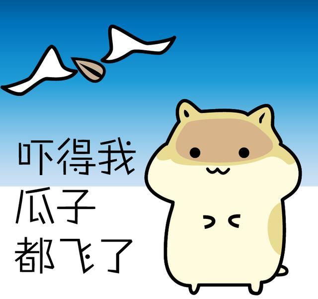 超级无敌搞笑表情包不保存吃亏啊快快拿去斗图了啊