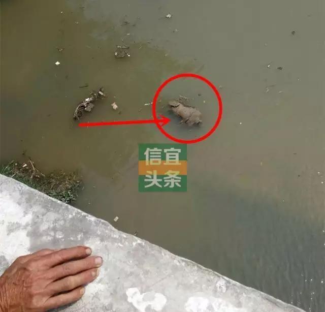 信宜西江河边惊现一具浮尸
