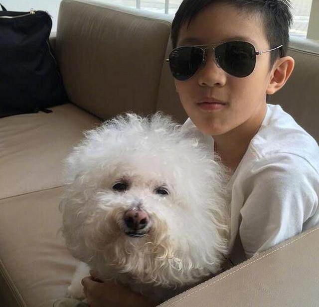 这对明星夫妻的儿子太帅被网友求出道