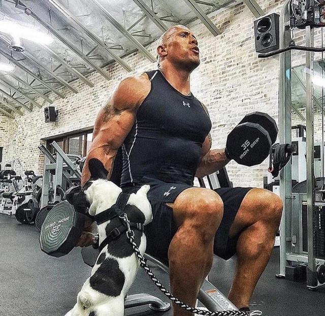 如何用一半的训练重量达到两倍的肌肉量