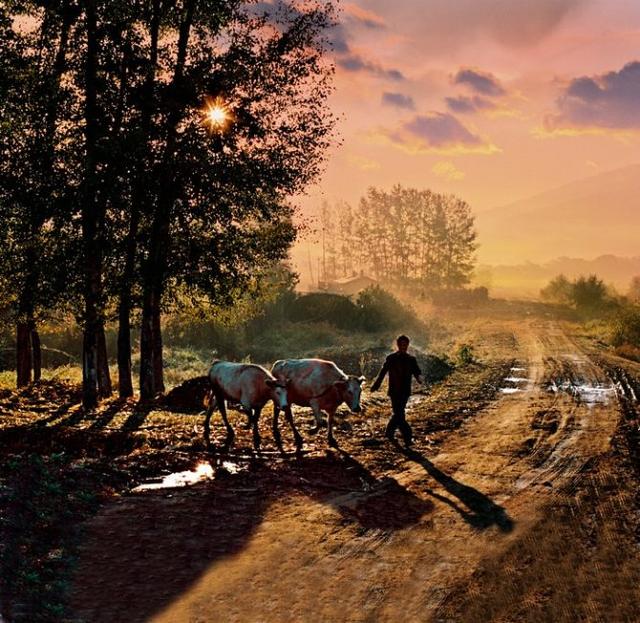 一组7080年代中国农村的幸福生活照