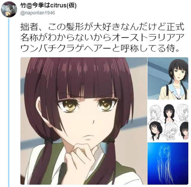 动漫中这种发型究竟叫什么,以后就统称水母发型吧!