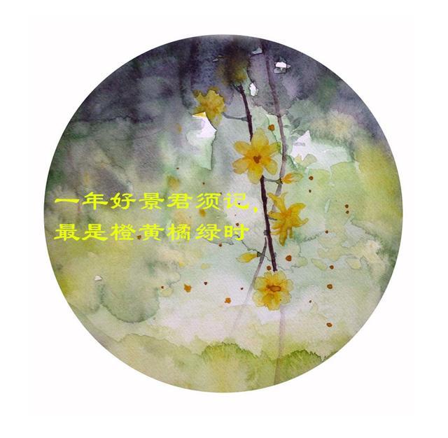 这个世界的颜色究竟有多么鲜艳, 这8句诗告诉你, 看看你熟知几句