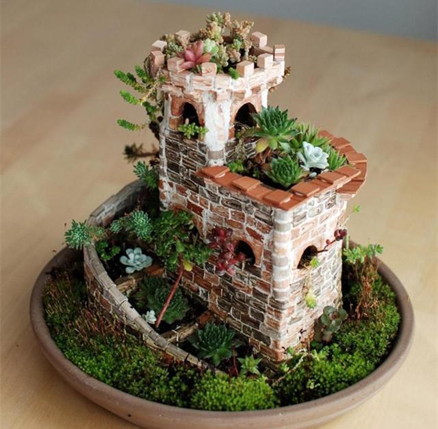 多肉组合盆栽 微景观的多姿多彩