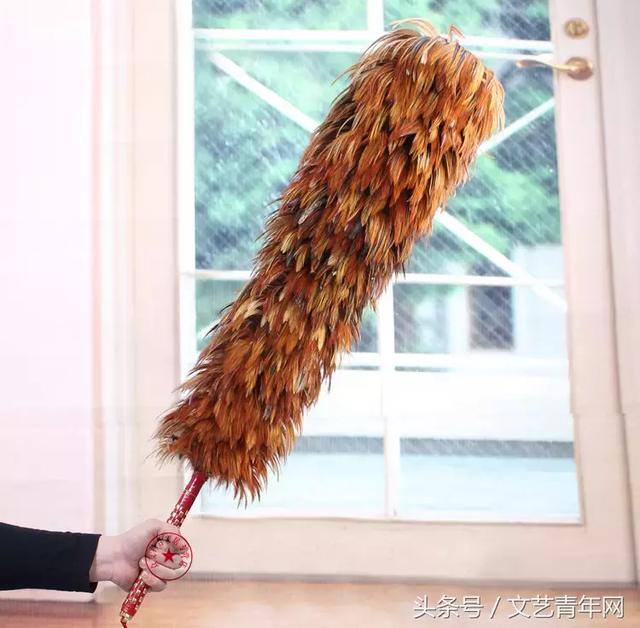 晦气走开鸡毛掸子驾到