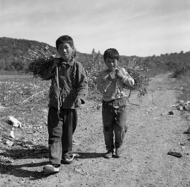 小时候的照片农村孩子图片