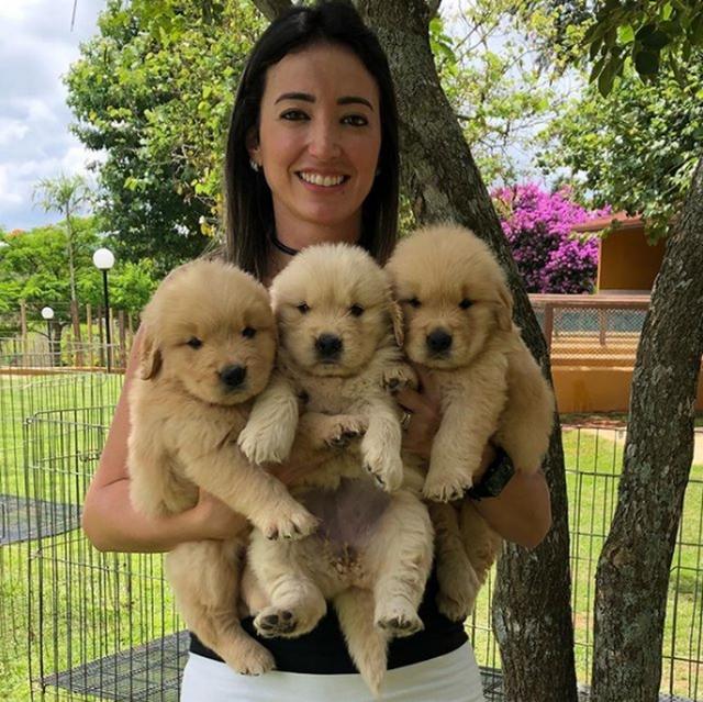 抱着一窝小金毛拍全家福,金毛的灿烂笑容让所有人都感到温暖!