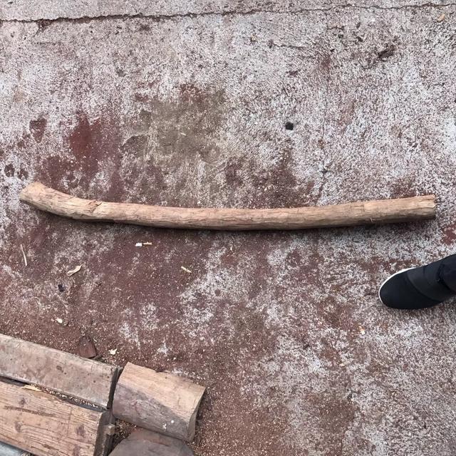 山西富商出差时带回一根木棍,切开后 全身发抖,牙齿直打颤