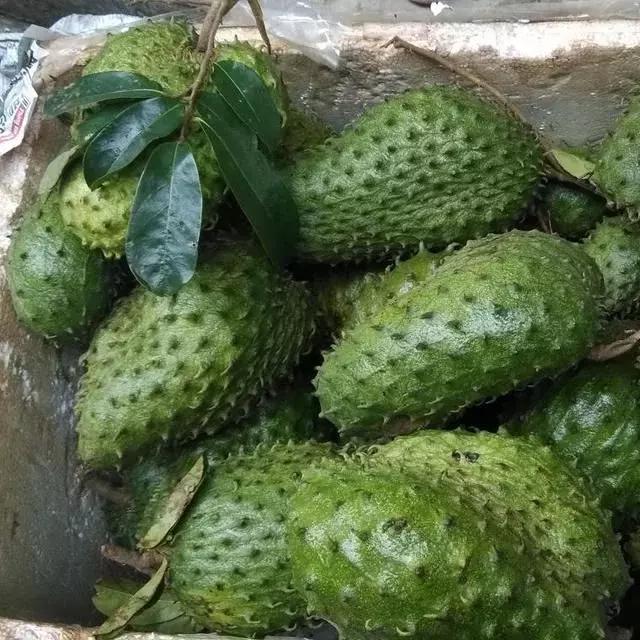 这7种南方水果,吃过4种以上的全是大神!第5种像"香肠"