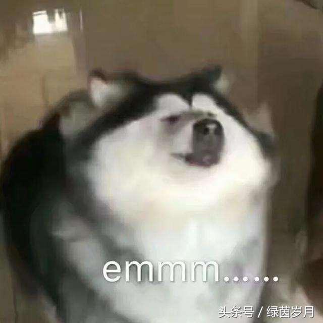 3分钟看懂足球|伪球迷入门指南 NO.1 规则