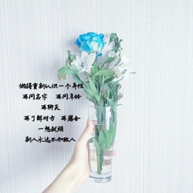 九分喜欢,一分尊严,放弃你,也放过自己