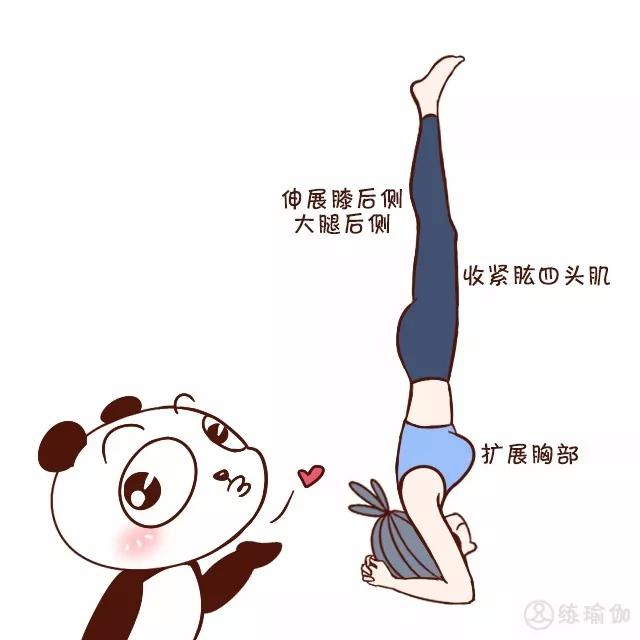 头倒立原来如此简单看图头倒立就会了