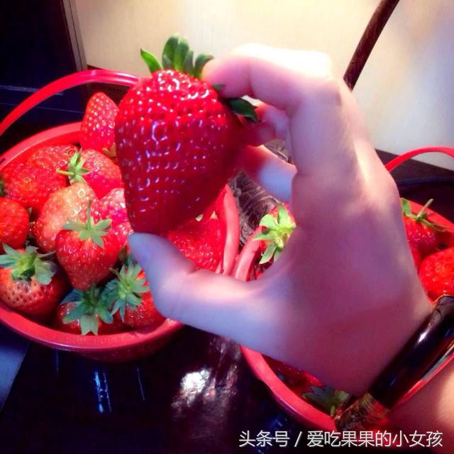 这种水果元旦前后开始大量上市,孩子吃完狂吐不止,父母应该警觉|草莓