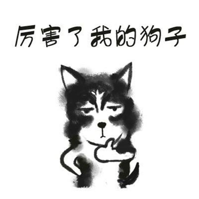 人不如狗系列又增加了一项