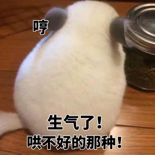 现代笑话,我咋想不明白!