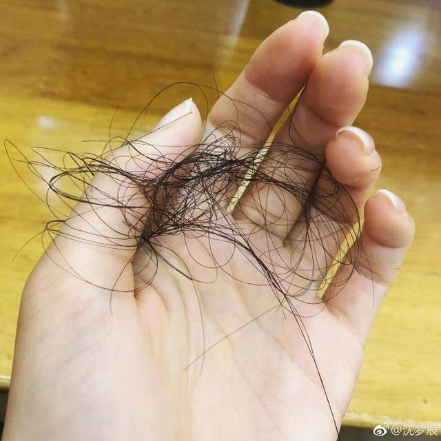 尴尬了,沈梦辰为帮薛之谦打歌:我想摸你的头发,差点把头发抓秃