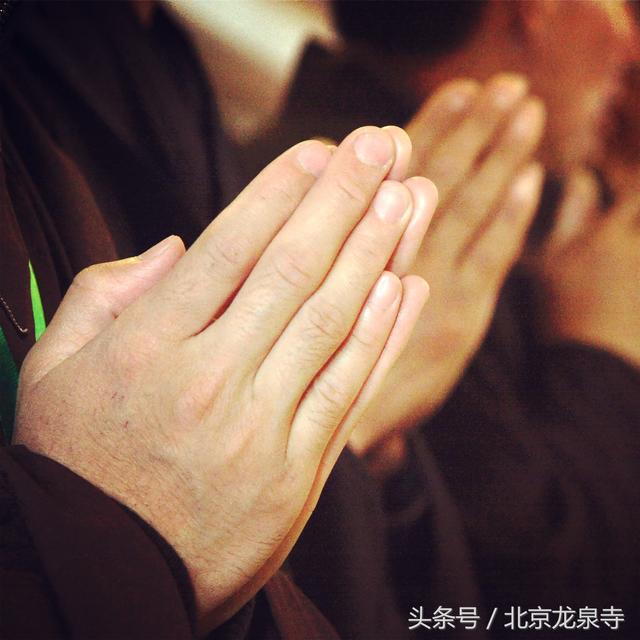 佛法在恭敬中求|三宝|恭敬|佛法_新浪新闻