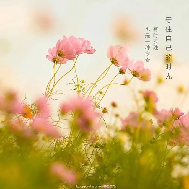 纵有烦恼三千,不如拈花一笑,给自己一个微笑!