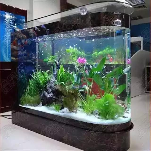 家居水景丨水族箱改善情绪还能降血压?
