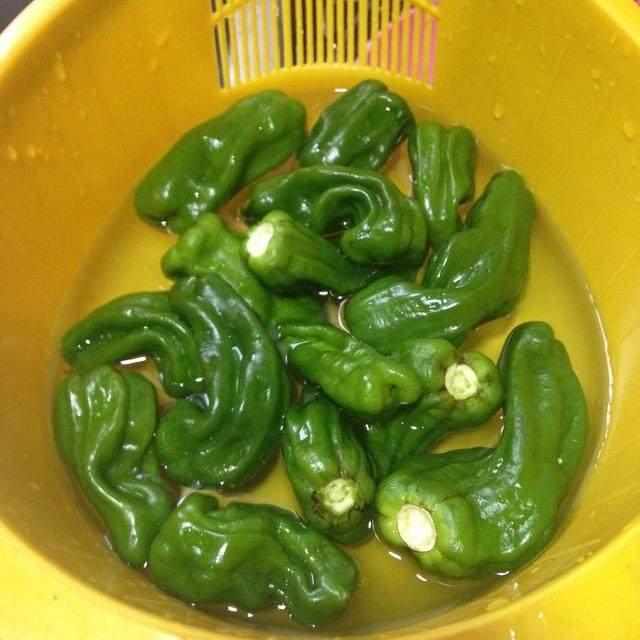 大蒜|青辣椒|调料勺_新浪新闻