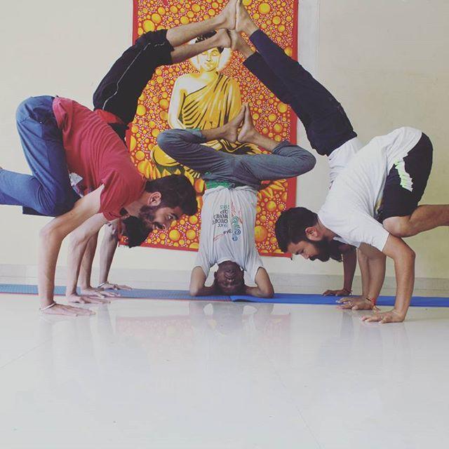 下犬式的叠罗汉.