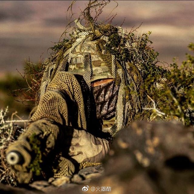 融入进背景的狙击手