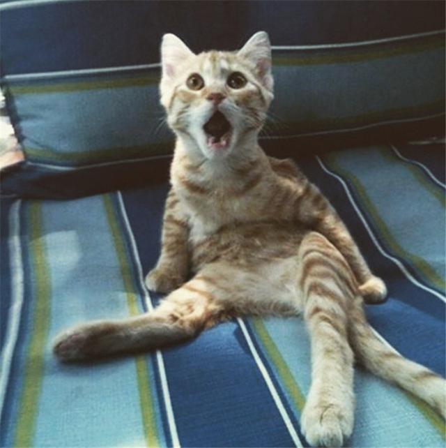 发生了什么事情,教科书版的惊呆.