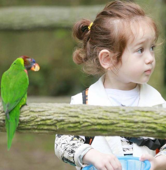 周嘉诚近照,一个被当做女孩养大的男孩,人气最