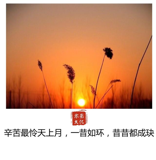 "人生若只如初见",我们终究逃不过一个"情"字