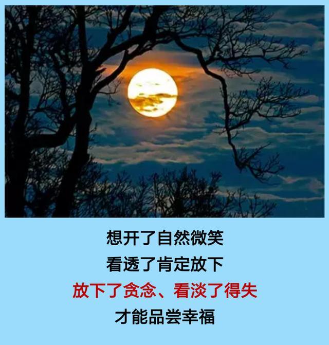 想开了自然微笑,看透了肯定放下顺风逆风,那是岁月的感悟一切皆为过往