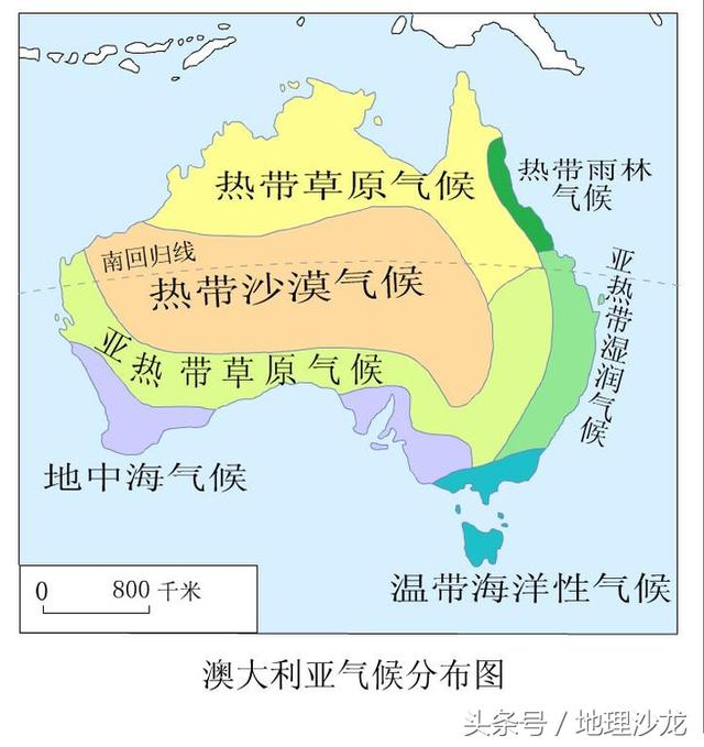 它就是:澳大利亚杏仁桉树,杏仁桉生长在澳大利亚稀树草原自然带