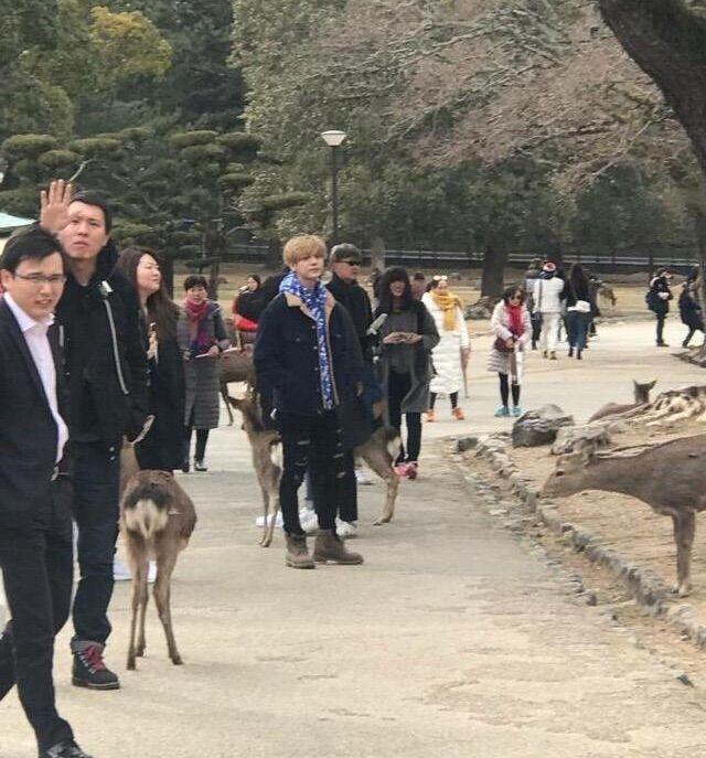鹿晗带女友关晓彤游玩日本被网友偶遇, 口罩都