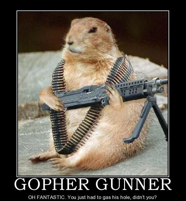 外国朋友的幽默,你体会得到吗