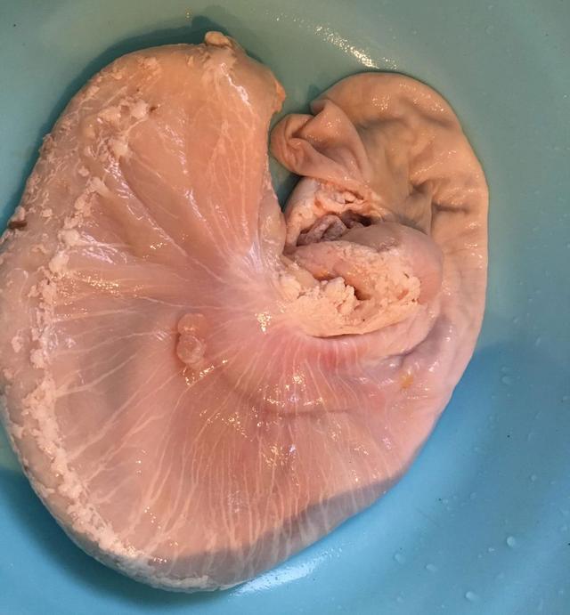 老婆做的这个汤比排骨汤还好喝,喝2碗还不够,一大锅10分钟秒光|猪肚