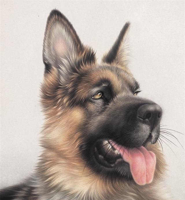 作品曾多次参加中国美协主办的画展并屡获大奖.