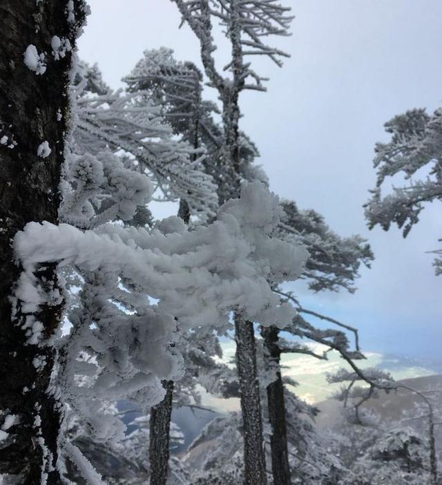 昆明最近可能不会下雪!但是这些美如人间仙境的雪景正向你招手!