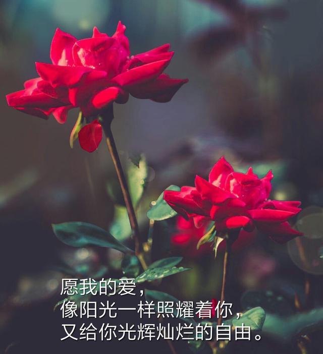 为了爱情,要么等待,要么奔赴