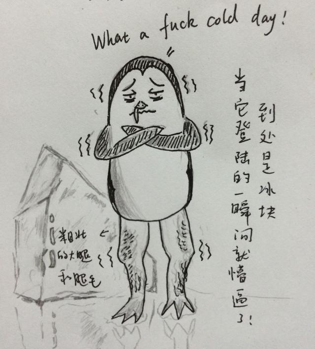 搞笑漫画企鹅原来不在南极