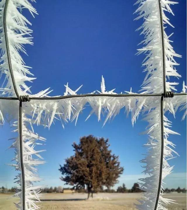 千姿百态的冰碴子,小孩看了跳起来,大自然鬼斧神工!|冰花|冰碴|千姿百