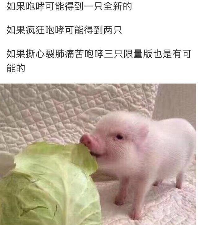 活得不如狗啊