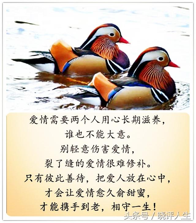 夫是妻的靠山,妻是夫的财富,请好好珍惜这辈子来之不易的缘份!