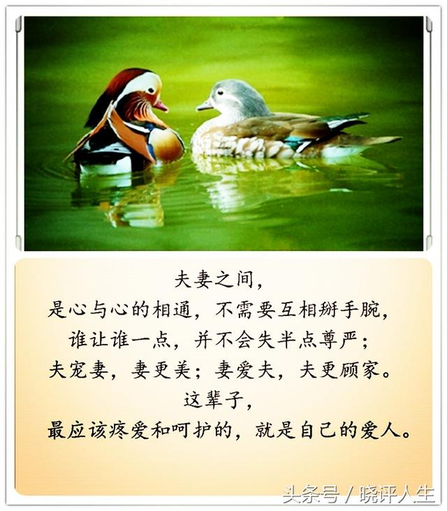 夫妻相爱,相濡以沫,才能同甘共苦,从终到老!