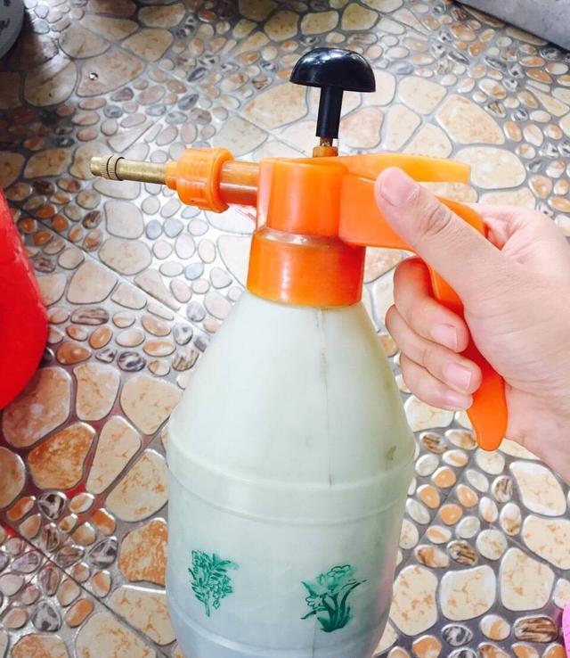 这五个灭杀花盆里小飞虫方法,比喷辣椒大蒜水管用一百倍
