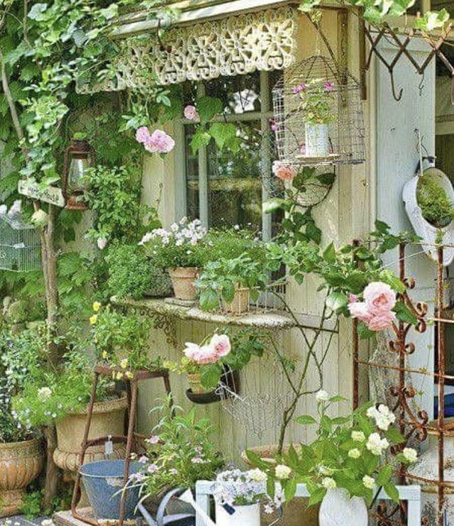 图二图三门前的鲜花点缀是在回家后最美的享受居家