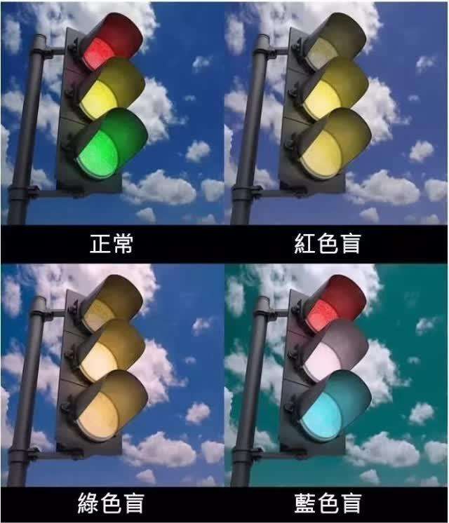 色盲真的不能开车吗