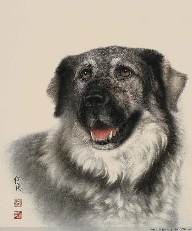 画家联盟 i 狗年画狗,中国工笔画家刘继彪笔下的中华田园犬