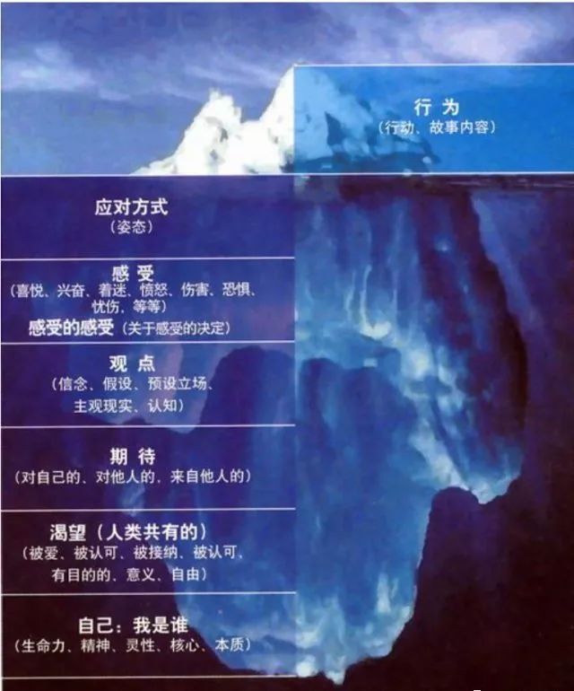 投资人跨界做小学老师,她说好的教育是透过现象看本质