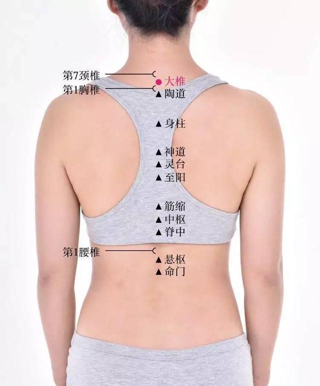 夏季坐月子艾灸很必要产后灸一个月少生十年病